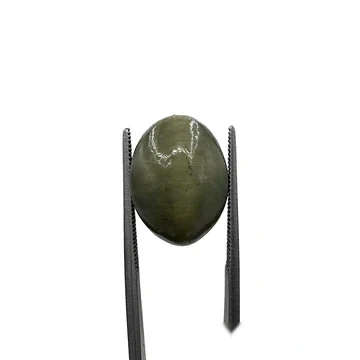 Natural Cat Eye (Lehsunia) 11.60 Carat