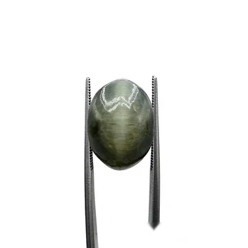 Natural Cat Eye Lehsunia 18.65 carat