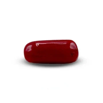 Natural Red Coral Marjan 3.50 carat