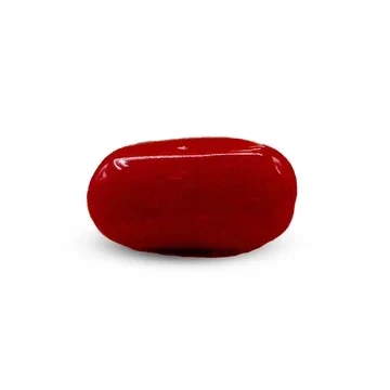 Natural Red Coral Marjan 7.10 carat