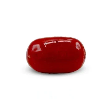 Natural Red Coral Marjan 9.70 carat